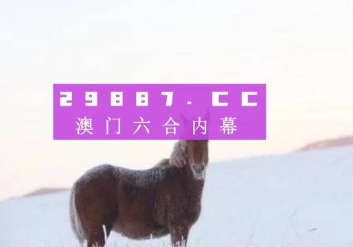 今晚一肖一码澳门一肖com,今晚一肖一码，澳门一肖的神秘魅力