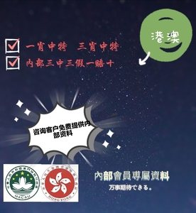 澳门王中王100%的资料三中三,澳门王中王100%的资料三中三，揭秘背后的故事与真相