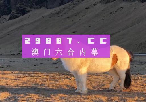 2025年澳门一肖一码,澳门一肖一码，预测与探索