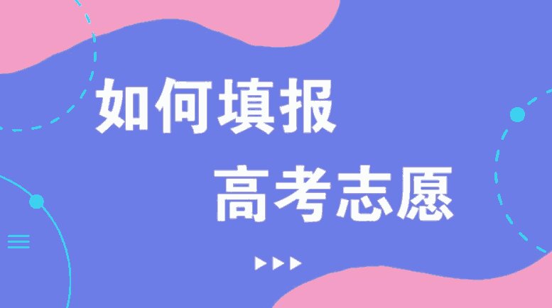 管家婆一马一肖一中一特,管家婆的独特智慧与精准预测——一马一肖一中一特的魅力