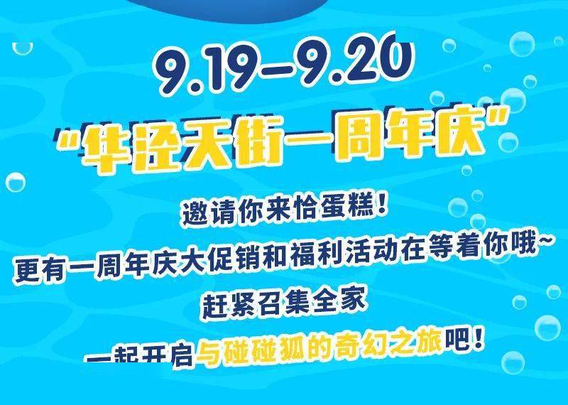 管家婆一肖一马一中一特,管家婆的神秘生肖与马之传奇，一肖一马一中一特的独特故事