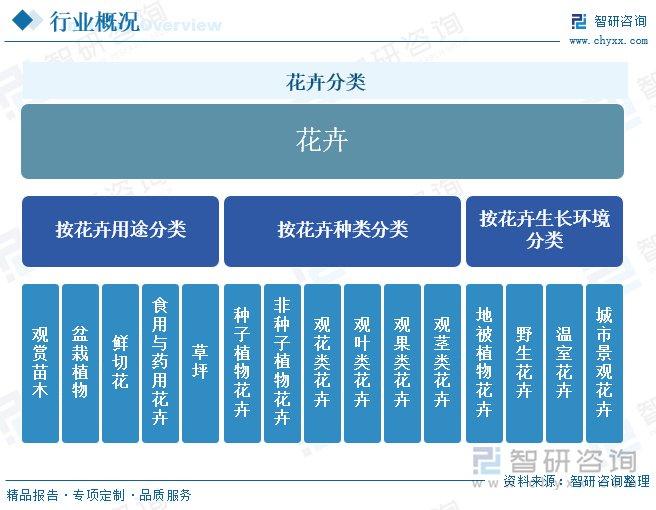 正版资料综合资料,正版资料与综合资料的重要性及其应用